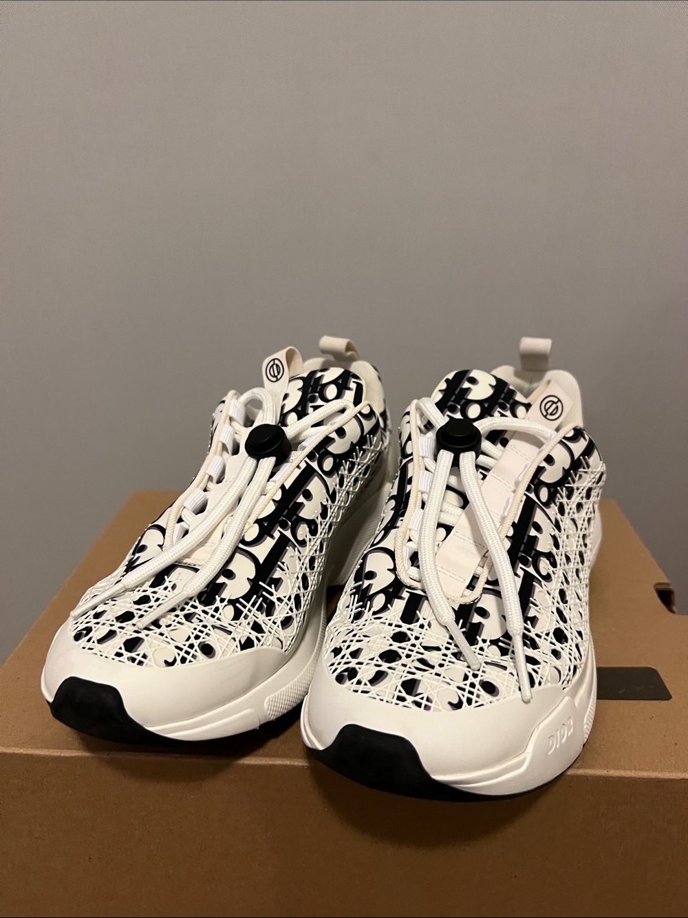 Dior White and Black Oblique Mesh Sneakers